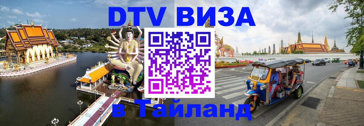 Оформление DTV визы под ключ: стоимость и тарифы, только загранпаспорт - Калуга 